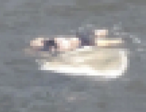 Corpo já em decomposição é encontrado na praia de Gragoatá em Niterói.