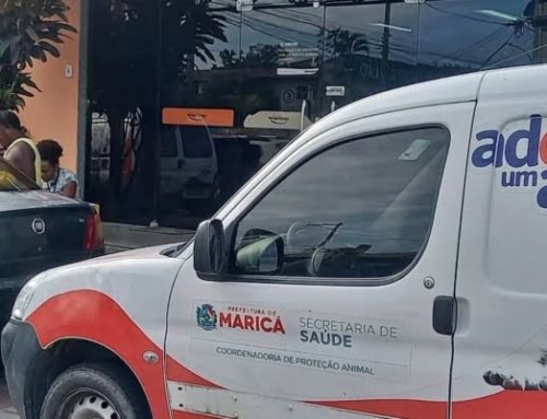 Mulher é presa em flagrante por maus-tratos a animal em Maricá.