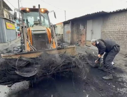Operação Barricada Zero retira mais de 180 pés de maconha e desmonta bloqueios em São Gonçalo durante megaação no RJ