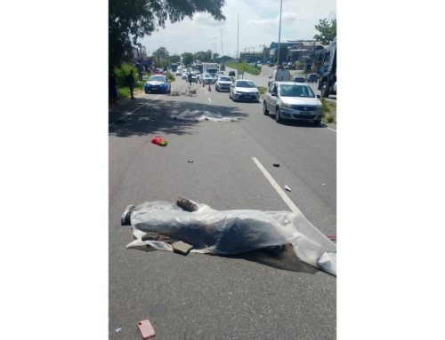 Casal morre em acidente na RJ-104; caminhoneiro foge sem prestar socorro.