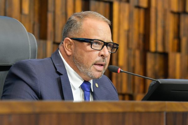 Parlamentar discursa ao microfone durante sessão plenária em um plenário legislativo