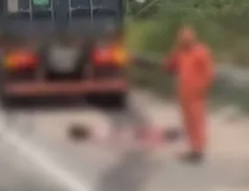 Mulher morre após ser atropelada por caminhão na BR-101, em São Gonçalo