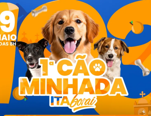 Itaboraí promove 1ª Cãominhada em celebração aos 193 anos da cidade