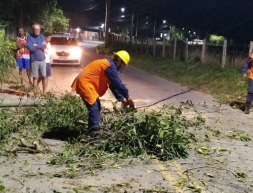 Defesa Civil alerta para risco de fortes rajadas de vento no Estado do Rio