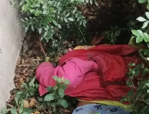Mulher é encontrada gravemente ferida em área de mato em São Gonçalo; vídeo