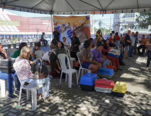 Itaboraí realiza cerca de 400 castrações gratuitas de cães e gatos em ação do CastraPet